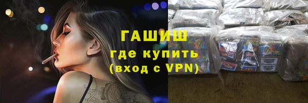 прущие грибы Гусиноозёрск