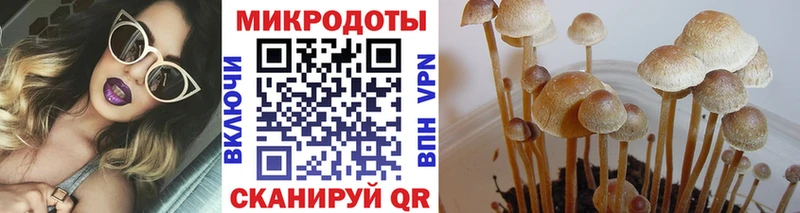 Галлюциногенные грибы ЛСД сколько стоит Азов